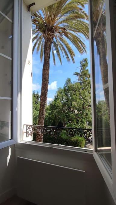 Renove, Vue Degagee Et Arboree, 700m Appartement *